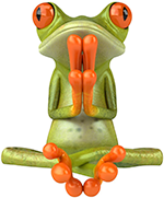Tree Frog